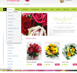 Screen shot of May Flower